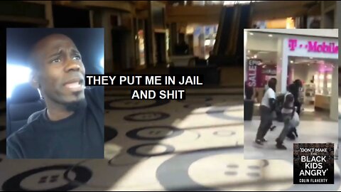 Colin Flaherty: Black Mob Violence - The Death of Malls 2017