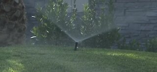 Winter watering restrictions are in effect in Southern Nevada