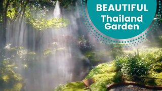Thai restaurant makes incredible water garden