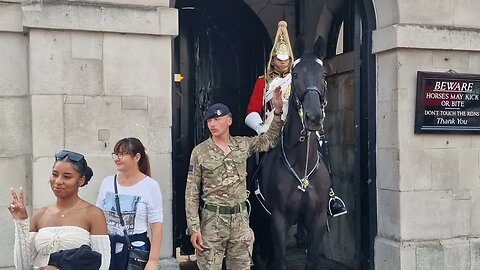 Solider and kings guard keeps the horse kalm save our XL Bullys protest returns #horseguardsparade