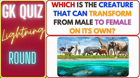 General Knowledge Quiz | gk questions and answers | Trivia Questions and Answers (No 05)