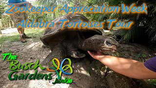 Busch Gardens - Zookeeper Appreciation Week And Aldabra Tortoises Tour