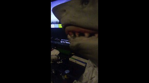 sharkie saying hi