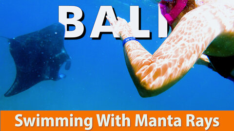 Swimming With Manta Rays in Bali