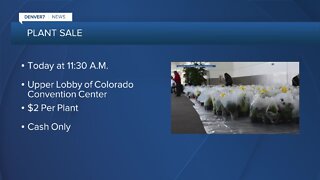 Denver7 Deals: Spring Plant sale today