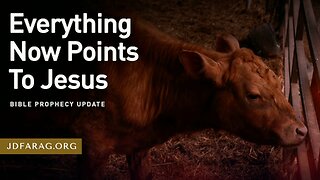 Signs 3rd Jewish Temple To Be Rebuilt (Red Heifers) Point to Rapture Soon - JD Farag [mirrored]