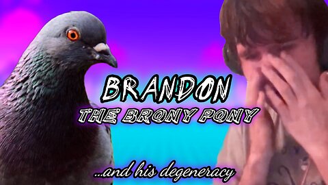 Brandon The Brony Pony (...And His Degeneracy)