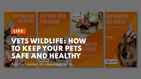 Vets Wildlife: How to Keep Your Pets Safe and Healthy