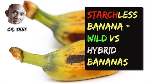 DR SEBI - THIS IS A STARCH-LESS BANANA - Difference Between Wild & Hybrid Banana Species