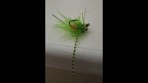 #6 Hook Rio Berry or Carp Fly #flyfishing #fishing #bass #fish #flytying #trout #carpfishing #carp