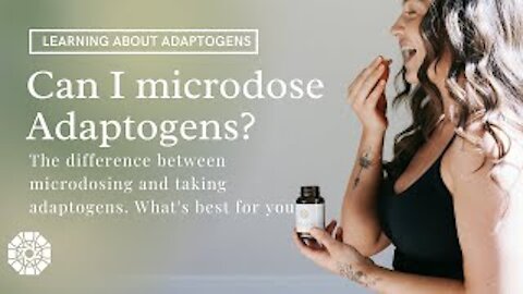 Debunking Microdosing | Taking Adaptogens, What is the difference, how do adaptogens make you feel?
