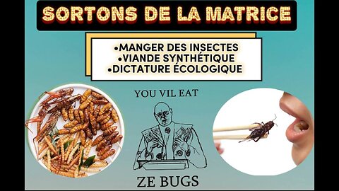 SORTONS DE LA MATRICE: MANGER des INSECTES ?!? JAMAIS de ma VIE !!!!!