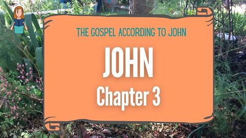 John Chapter 3 | NRSV Bible