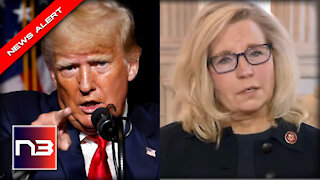 Trump SEALS Liz Cheney’s Political Fate with this SCORCHING Message