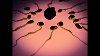 Study that found low sperm count in vaccinated men