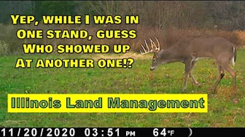 2020 Illinois deer opening day, Big buck up close, & the usual bad luck!