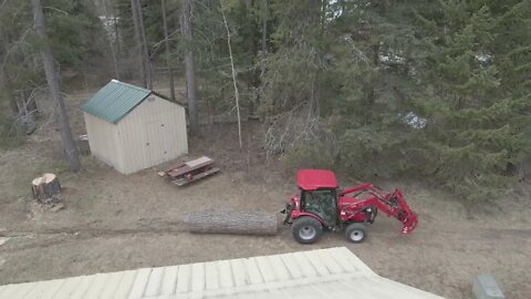 #16 Hauling large ponderosa log with tractor