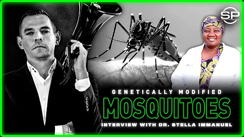 Bill Gates’ GENETICALLY MODIFIED Mosquitoes Causes Malaria Outbreak? MSM Claims It’s A Coincidence