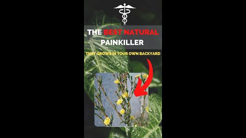 The Best Natural Painkiller That Grows in Your Own Backyard