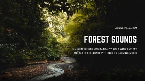 Forest Stream Calming Music