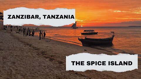 Discovering Zanzibar: A Tropical Escape Like No Other | Travel Destinations