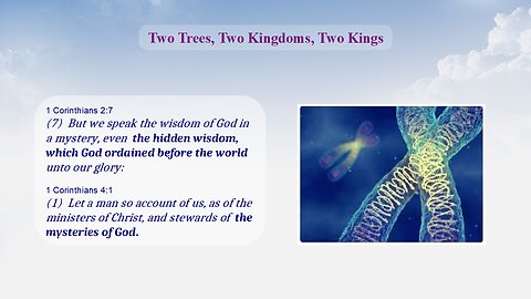 Two Trees, Two Kingdoms, Two Kings - Levels of Interpretation, part 6