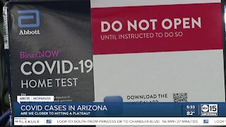 COVID-19 in Arizona: Are we closer to hitting a plateau?