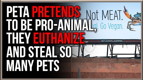 PETA Claims To Be In Favor Of Animals, They Don't Want ANY Animals To Be Pets