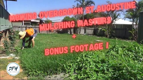 Push Mowing Overgrown St. Augustine (Buffalo) Grass // Mulch Masters + Bonus Footage !