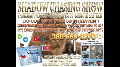 SHADOW CHASING SHOW - ANIMALS IN THE SPIRIT WORLD 4-18-2024