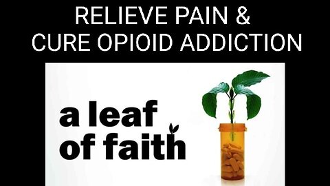 Documentary: Kill Pain & Overcome Opioid Addiction With a Natural Herb Called Kratom