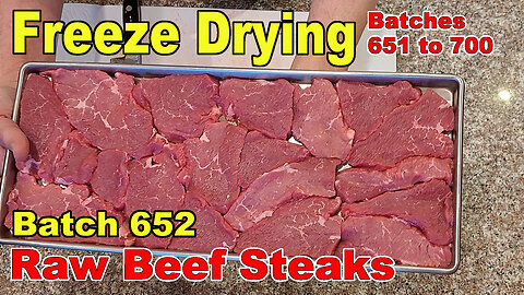 Freeze Drying Batch 652 Beef Tri Tip RAW Steaks