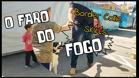 Teste de faro com o filhote Fogo.