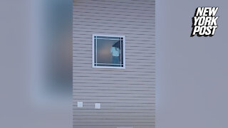 Mom realizes she's been flashing neighbors from bathroom window in hilarious video