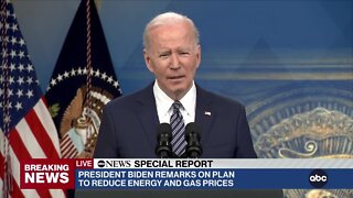 Special Report Pt. 1: President Biden taps oil reserves to control US gas prices