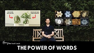 The Power of Words - Harry The Soul Coach