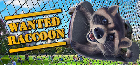 RACCOONS WITH SHOCKER Wanted Raccoon