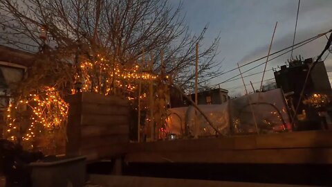 Stock Footage: Garden Time Lapse Day To Night