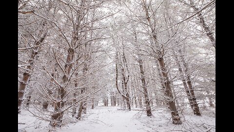 Purity, God, Snow and Us