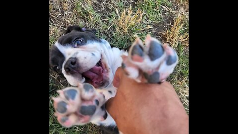 Penelope's First Day home!