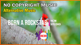 Born a Rockstar - NEFFEX: Alternative Music, Dark Music, Thrill Music @NCMstudio18 ​