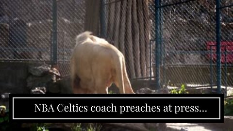 NBA Celtics coach preaches at press conference: 'Only one' royal family, 'Jesus, Mary and Josep...