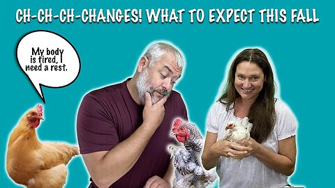 Video Chicken Live: Ch-Ch-Ch-Changes! What to Expect this Fall