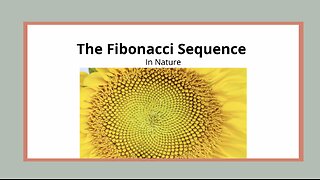 The Fibonacci Sequence in Nature