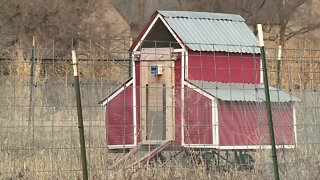 Westport community garden could be replaced by apartments