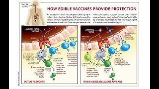 BREAKING NEWS: IS YOUR FOOD SAFE TO EAT?...BIG PHARMA TO VACCINATE ALL ANIMALS WITH THE m/RNA VACCINE