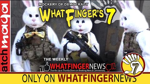 MOCKERY OF DEMOCRACY: Whatfinger's 7