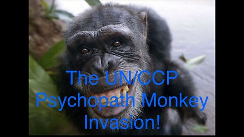 The UN/CCP Psychopath Monkey Invasion!