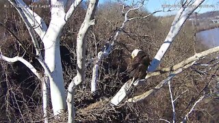 USS Eagles - Dad takes flight towards cam