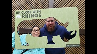 Disney's Up Close with Rhino Tour at Animal Kingdom Park